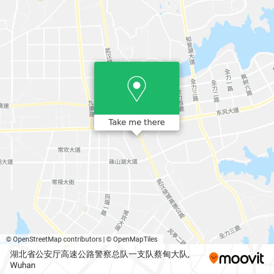 湖北省公安厅高速公路警察总队一支队蔡甸大队 map