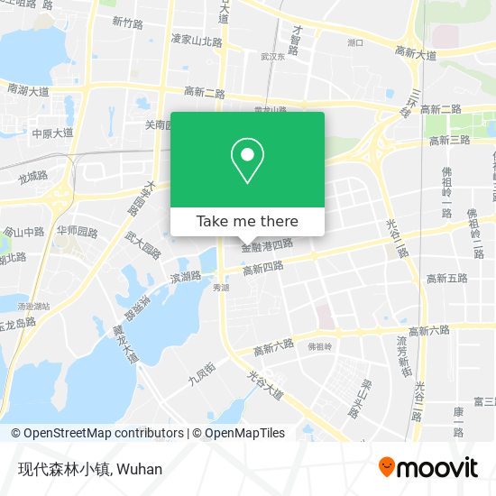 现代森林小镇 map