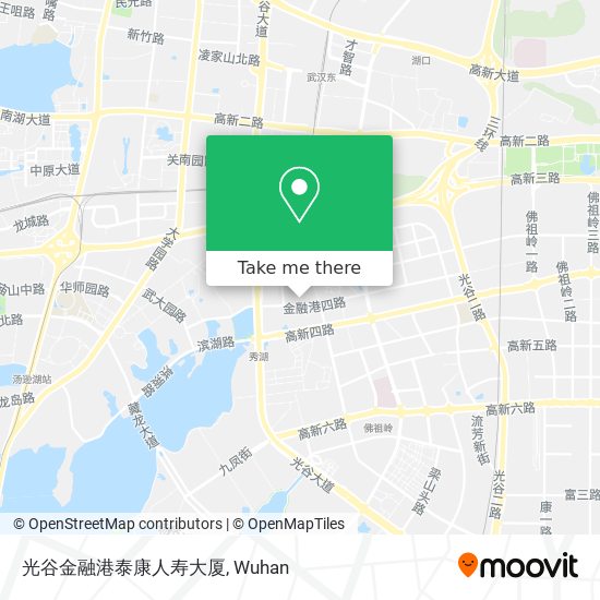 光谷金融港泰康人寿大厦 map