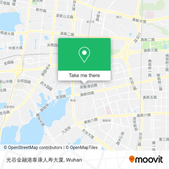 光谷金融港泰康人寿大厦 map