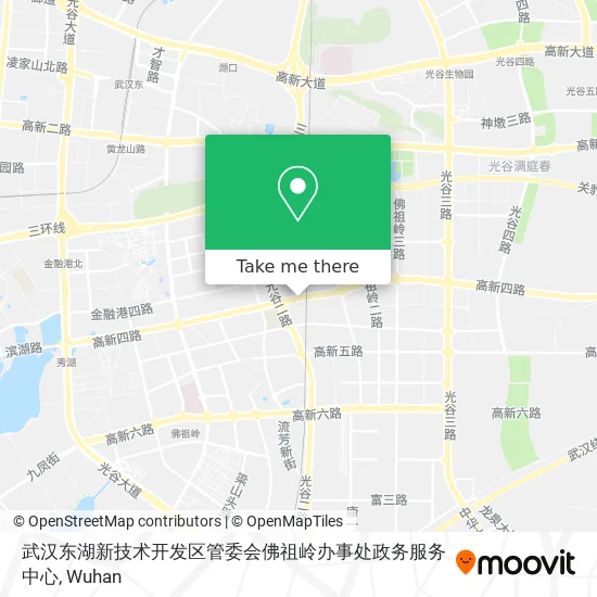 武汉东湖新技术开发区管委会佛祖岭办事处政务服务中心 map