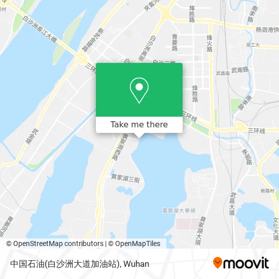 中国石油(白沙洲大道加油站) map