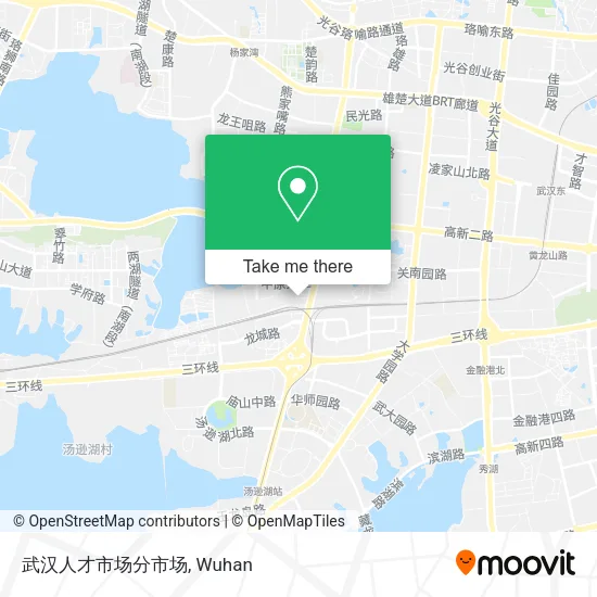 武汉人才市场分市场 map