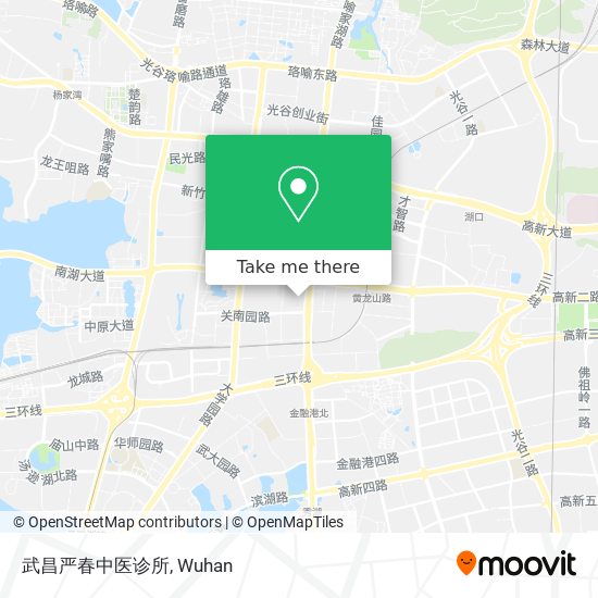 武昌严春中医诊所 map