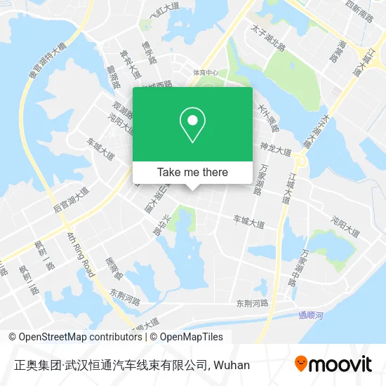 正奥集团·武汉恒通汽车线束有限公司 map