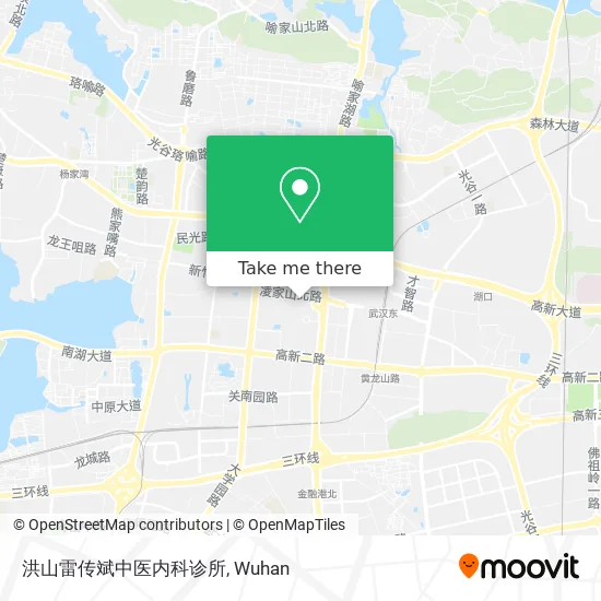 洪山雷传斌中医内科诊所 map
