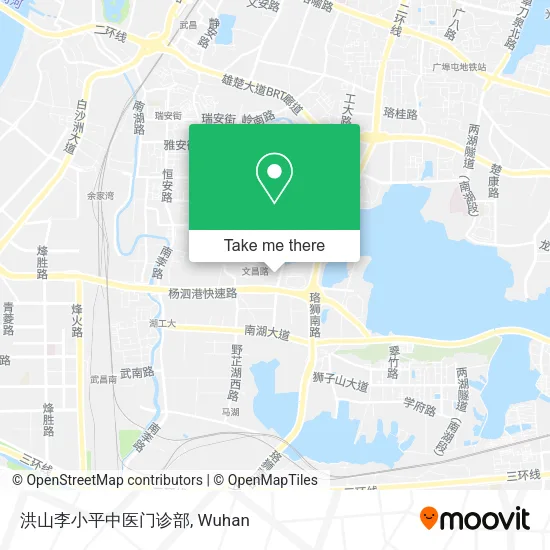 洪山李小平中医门诊部 map