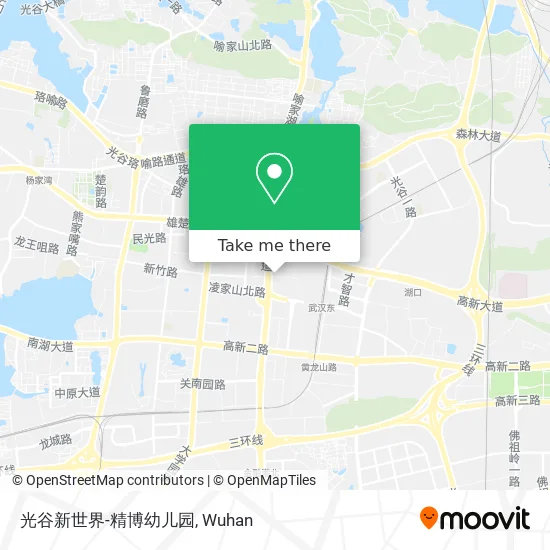 光谷新世界-精博幼儿园 map