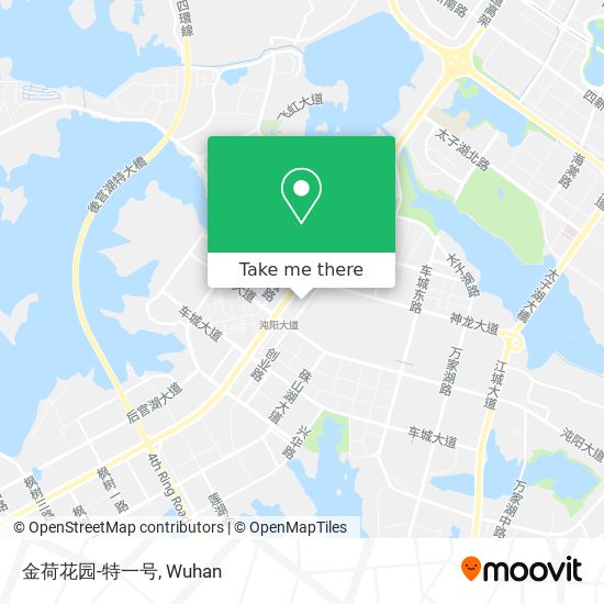 金荷花园-特一号 map