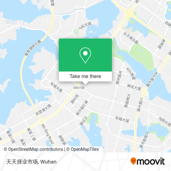 天天择业市场 map
