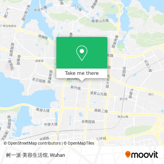 树一派·美容生活馆 map