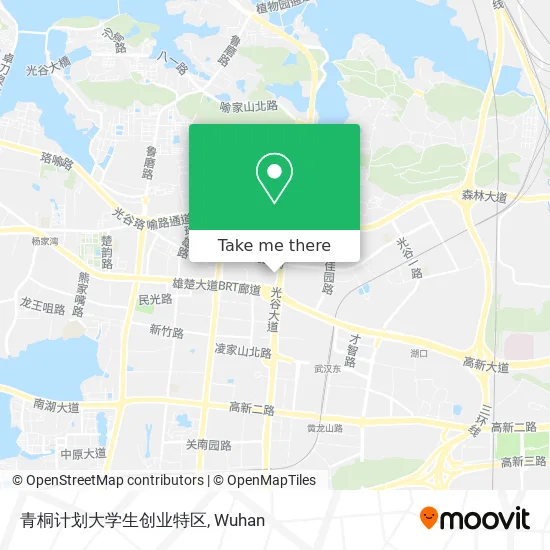 青桐计划大学生创业特区 map