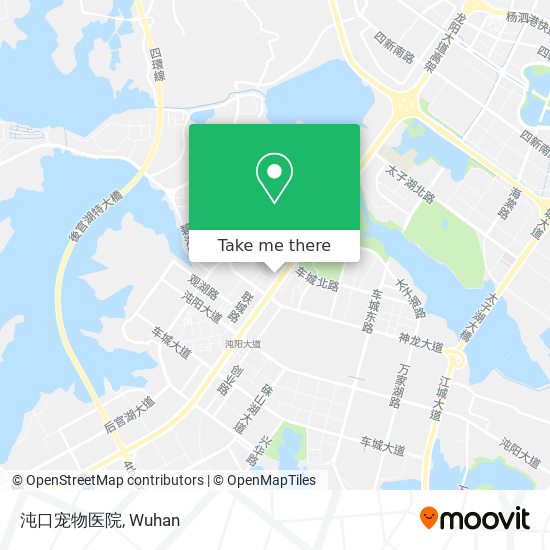 沌口宠物医院 map