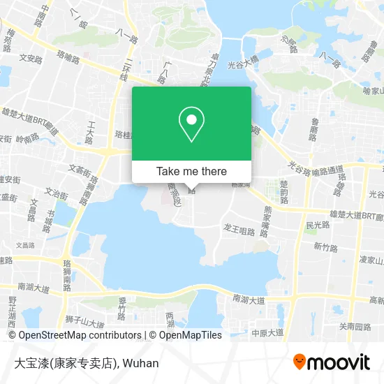 大宝漆(康家专卖店) map