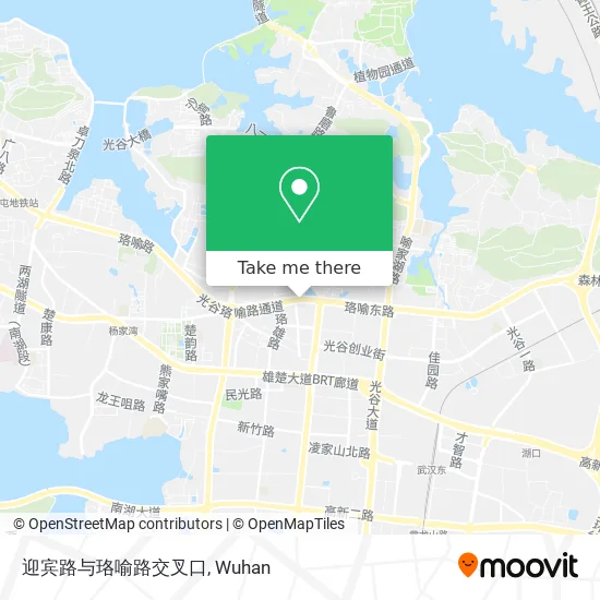迎宾路与珞喻路交叉口 map