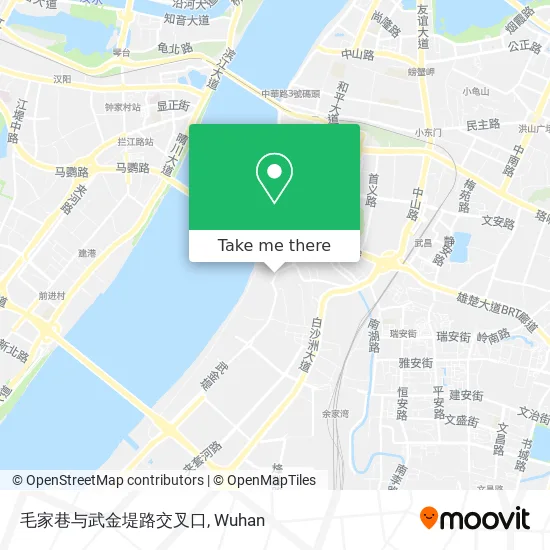 毛家巷与武金堤路交叉口 map