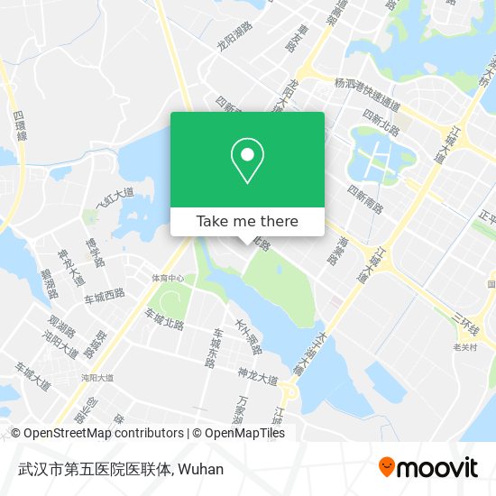 武汉市第五医院医联体 map