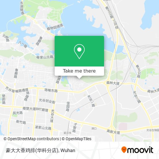 豪大大香鸡排(华科分店) map