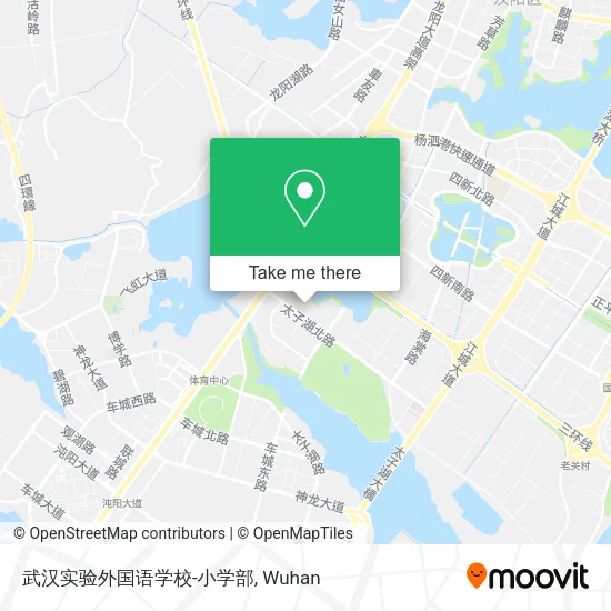 武汉实验外国语学校-小学部 map