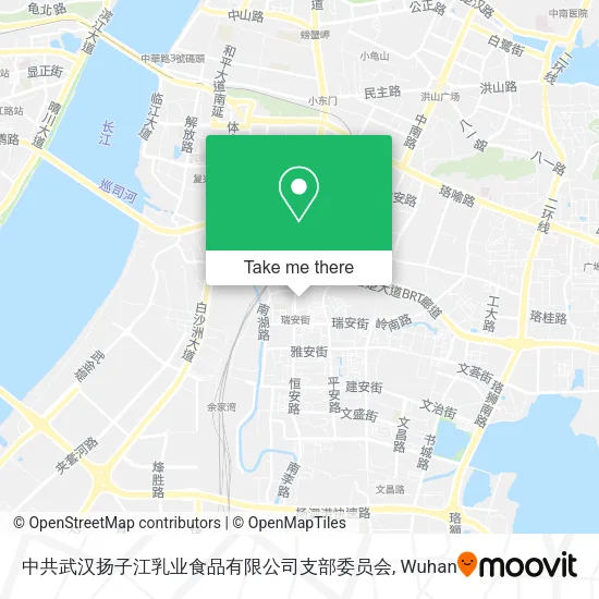 中共武汉扬子江乳业食品有限公司支部委员会 map