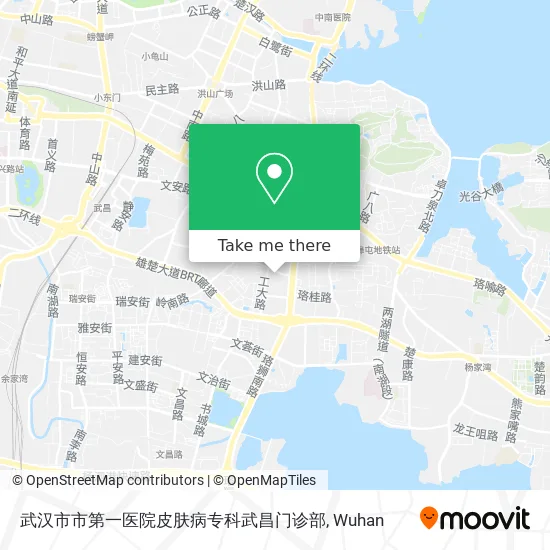 武汉市市第一医院皮肤病专科武昌门诊部 map
