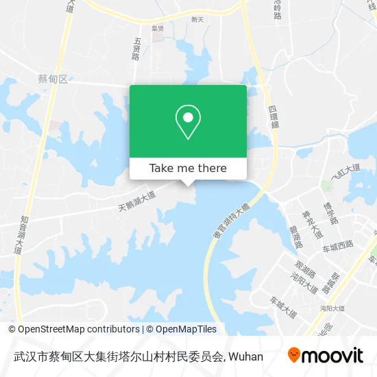 武汉市蔡甸区大集街塔尔山村村民委员会 map
