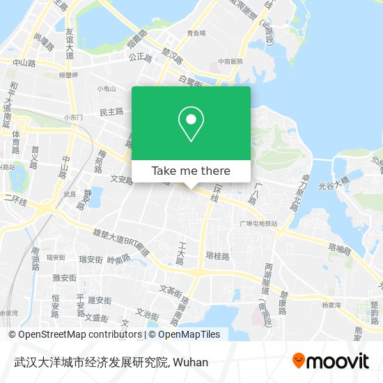 武汉大洋城市经济发展研究院 map