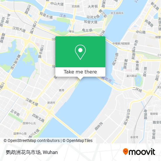 鹦鹉洲花鸟市场 map