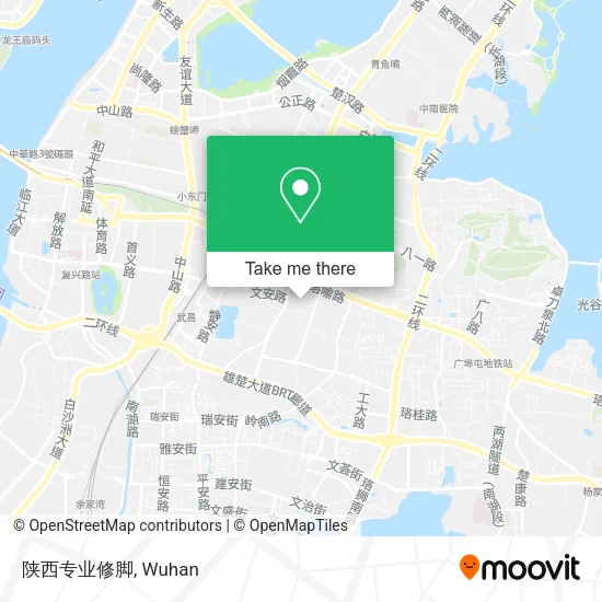 陕西专业修脚 map