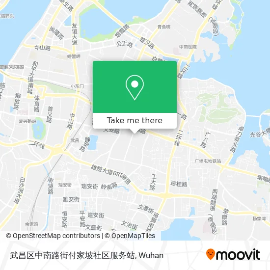 武昌区中南路街付家坡社区服务站 map