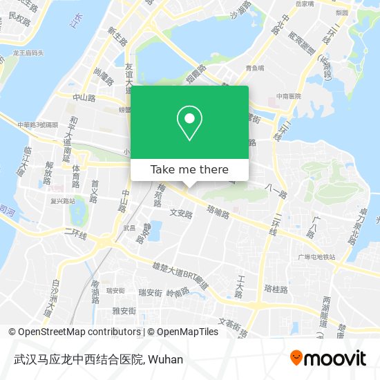 武汉马应龙中西结合医院 map