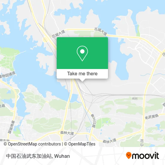 中国石油武东加油站 map