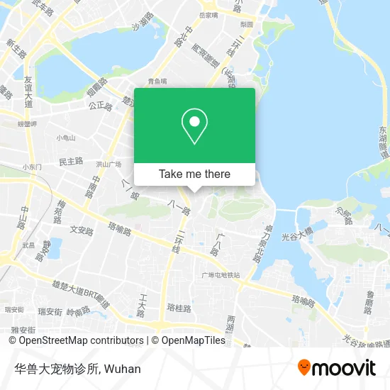 华兽大宠物诊所 map