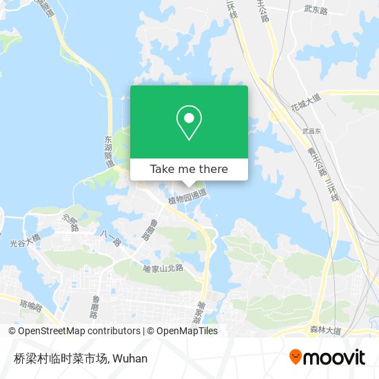 桥梁村临时菜市场 map