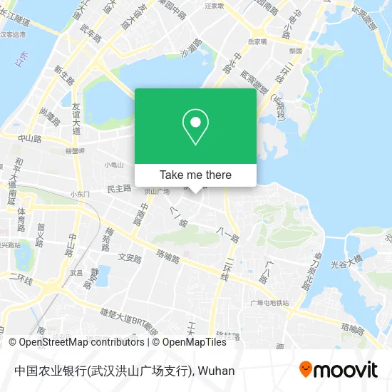 中国农业银行(武汉洪山广场支行) map