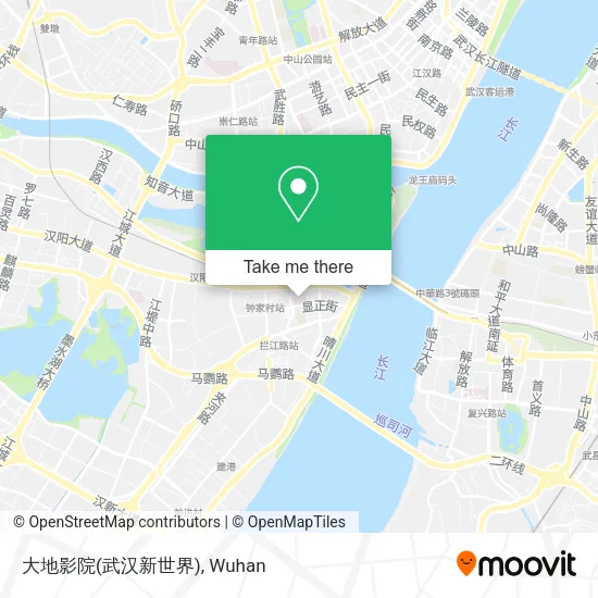 大地影院(武汉新世界) map