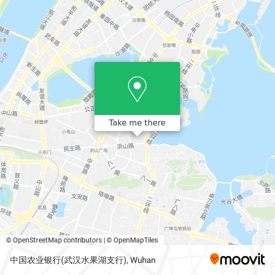 中国农业银行(武汉水果湖支行) map
