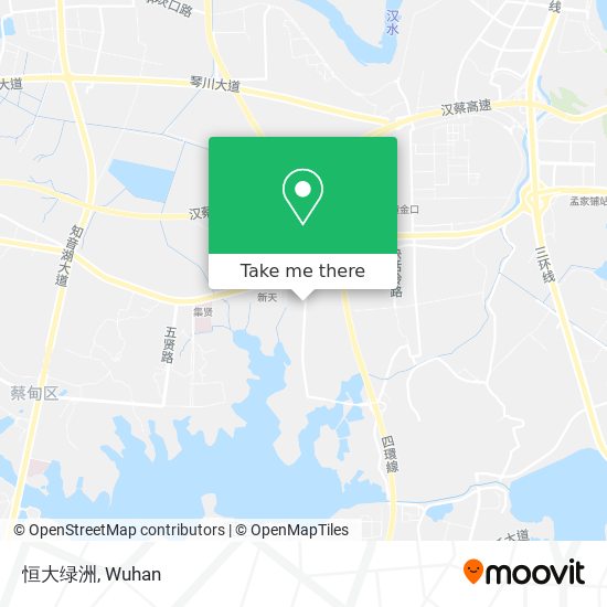 恒大绿洲 map