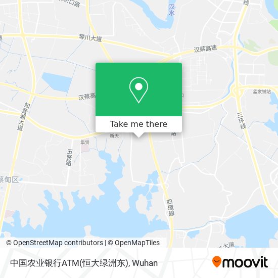 中国农业银行ATM(恒大绿洲东) map