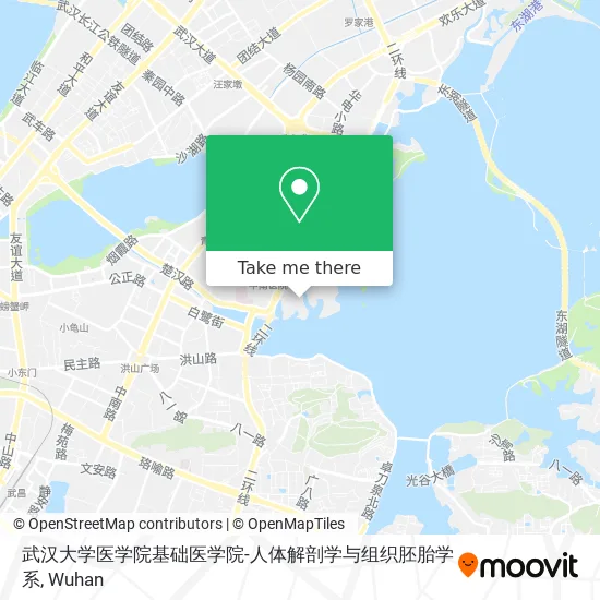 武汉大学医学院基础医学院-人体解剖学与组织胚胎学系 map