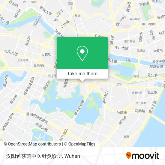 汉阳蒋莎萌中医针灸诊所 map