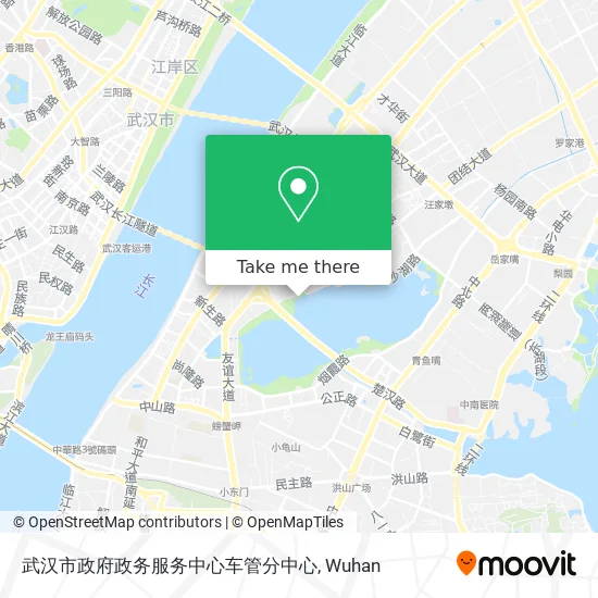 武汉市政府政务服务中心车管分中心 map