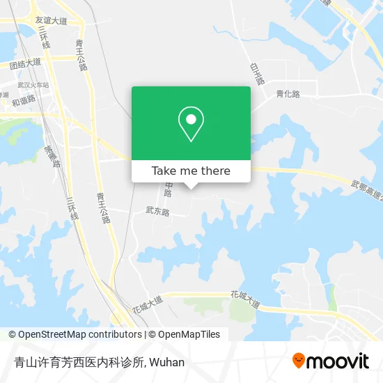 青山许育芳西医内科诊所 map