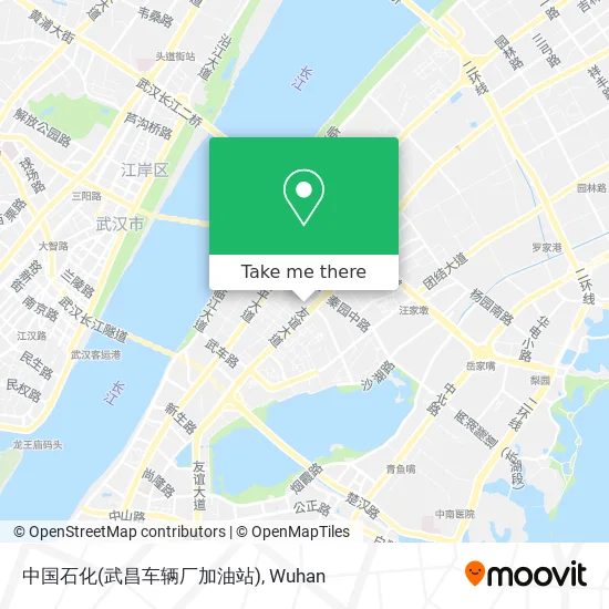 中国石化(武昌车辆厂加油站) map