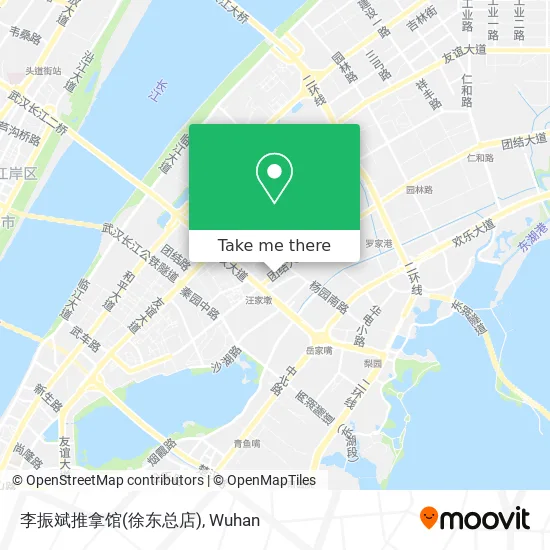 李振斌推拿馆(徐东总店) map