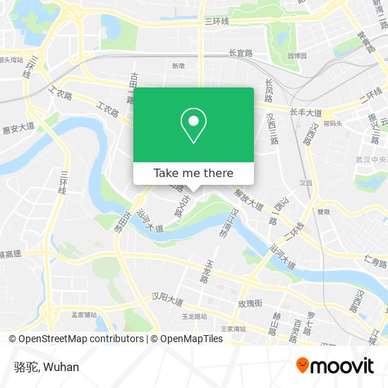 骆驼 map