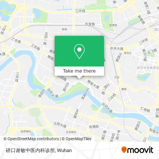 硚口谢敏中医内科诊所 map