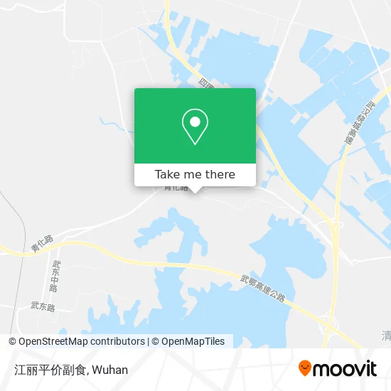 江丽平价副食 map