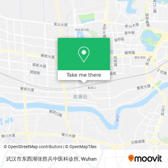 武汉市东西湖张胜兵中医科诊所 map