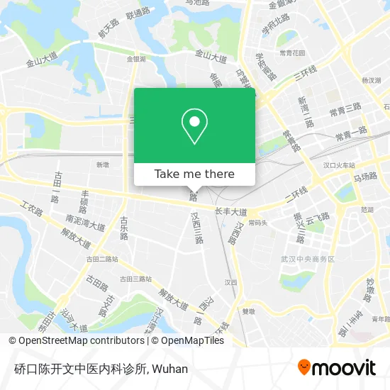 硚口陈开文中医内科诊所 map